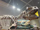 特別展　大絶滅展に投稿された画像（2026/10/2）