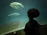 葛西臨海水族園に投稿された画像（2026/10/2）