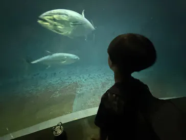 葛西臨海水族園に投稿された画像（2026/10/2）