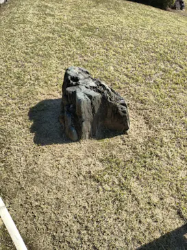 元離宮二条城に投稿された画像（2026/10/2）