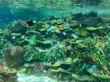 名古屋港水族館に投稿された画像（2026/10/3）