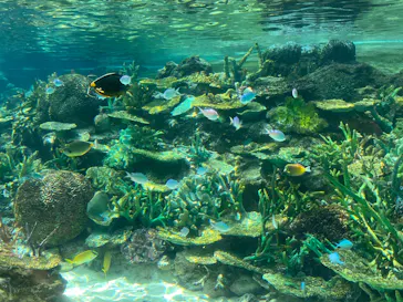名古屋港水族館に投稿された画像（2026/10/2）