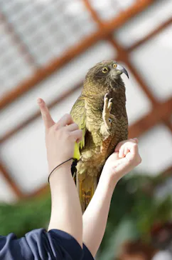 掛川花鳥園に投稿された画像（2026/10/2）