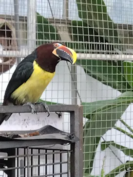 掛川花鳥園に投稿された画像（2026/10/3）