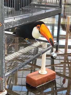 掛川花鳥園に投稿された画像（2026/10/3）
