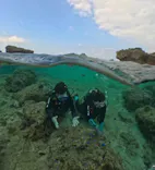 武藤潜水に投稿された画像（2026/10/3）