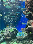 島根県立 しまね海洋館に投稿された画像（2026/10/3）