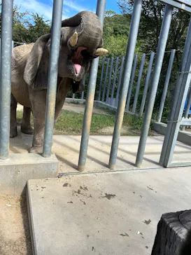 しろとり動物園に投稿された画像（2026/10/3）