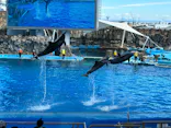 名古屋港水族館に投稿された画像（2026/10/3）