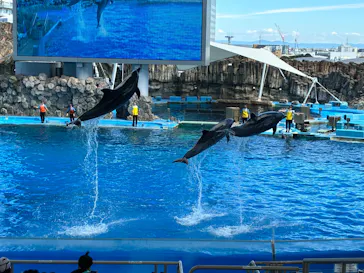 名古屋港水族館に投稿された画像（2026/10/3）
