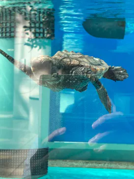 名古屋港水族館に投稿された画像（2026/10/3）