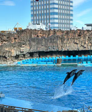 名古屋港水族館に投稿された画像（2026/10/3）