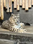 いしかわ動物園に投稿された画像（2026/10/3）