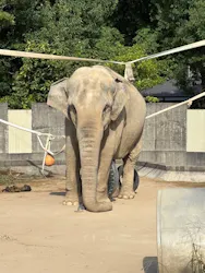 いしかわ動物園に投稿された画像（2026/10/3）