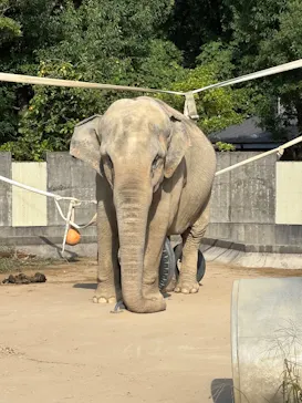 いしかわ動物園に投稿された画像（2026/10/3）