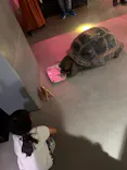 AQUARIUM × ART　atoaに投稿された画像（2026/10/3）