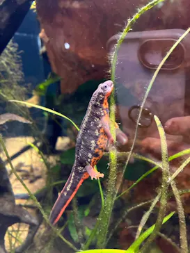 AQUARIUM × ART　atoaに投稿された画像（2026/10/3）