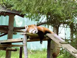 千葉市動物公園に投稿された画像（2026/10/3）