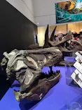 特別展　大絶滅展に投稿された画像（2026/10/3）