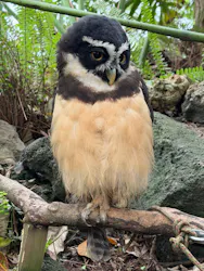 伊豆シャボテン動物公園に投稿された画像（2026/10/3）