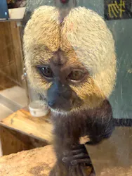 伊豆シャボテン動物公園に投稿された画像（2026/10/3）