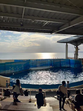 新江ノ島水族館に投稿された画像（2026/10/3）