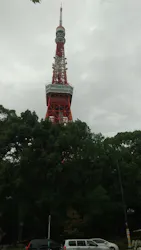 東京タワーに投稿された画像（2026/10/3）