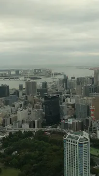 東京タワーに投稿された画像（2026/10/3）