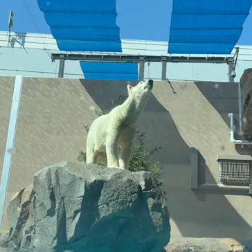 天王寺動物園に投稿された画像（2026/10/3）