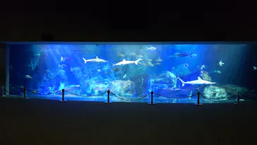 大分マリーンパレス水族館 「うみたまご」に投稿された画像（2026/10/3）