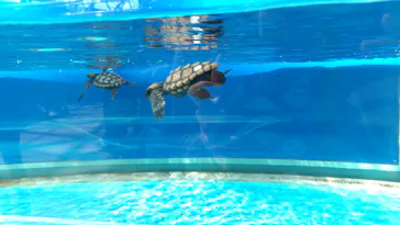 名古屋港水族館に投稿された画像（2026/10/3）