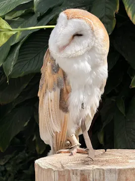 掛川花鳥園に投稿された画像（2026/10/3）