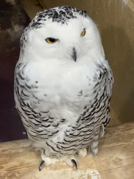 掛川花鳥園に投稿された画像（2026/10/3）