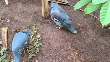 千葉市動物公園に投稿された画像（2026/10/3）