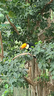 千葉市動物公園に投稿された画像（2026/10/3）