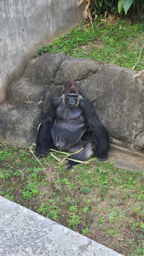 千葉市動物公園に投稿された画像（2026/10/3）