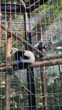 千葉市動物公園に投稿された画像（2026/10/3）