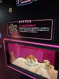 サンシャイン水族館に投稿された画像（2026/10/4）