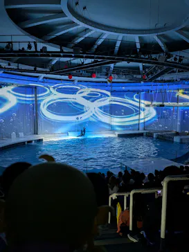 アクアワールド茨城県大洗水族館に投稿された画像（2026/10/3）