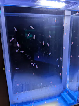 アクアワールド茨城県大洗水族館に投稿された画像（2026/10/3）