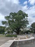 東京国立博物館に投稿された画像（2026/10/4）