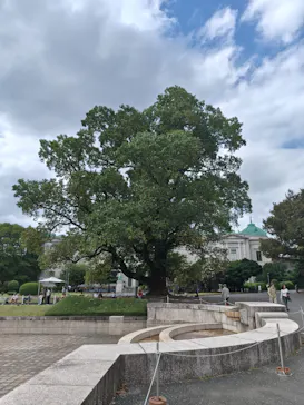 東京国立博物館に投稿された画像（2026/10/3）