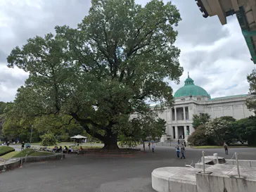 東京国立博物館に投稿された画像（2026/10/3）