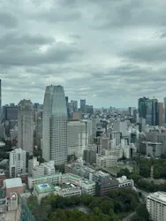 東京タワーに投稿された画像（2026/10/4）