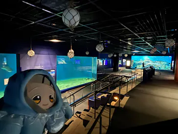 アクアワールド茨城県大洗水族館に投稿された画像（2026/10/4）