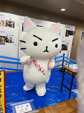猫好きさんの祭典「にゃんだらけ21」に投稿された画像（2026/10/4）