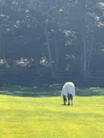 ノーザンホースパークに投稿された画像（2026/10/4）