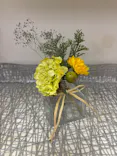 千秋工房 Flower Division（フラワーディビジョン）に投稿された画像（2026/10/4）