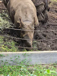 多摩動物公園に投稿された画像（2026/10/4）