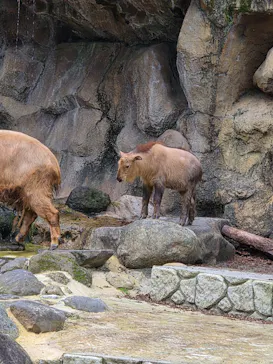 多摩動物公園に投稿された画像（2026/10/4）